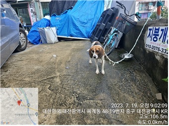 종료(반환) 비글의…